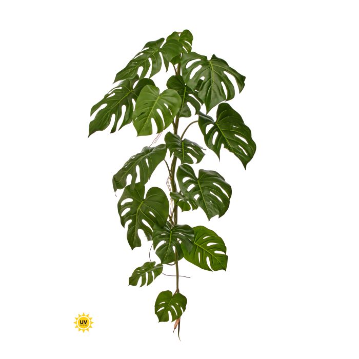 Monstera Vine 48" - UV Protected