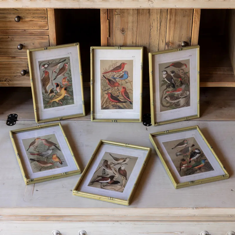 Song Bird Prints Faux Bamboo Frames