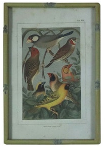 Song Bird Prints Faux Bamboo Frames
