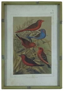 Song Bird Prints Faux Bamboo Frames