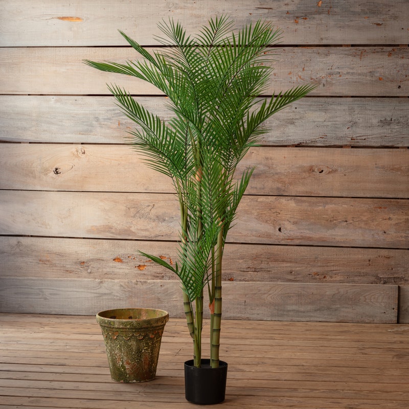 Potted Bamboo Palm 62in.