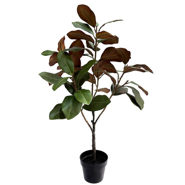 Potted Nursery Magnolia Faux Tree